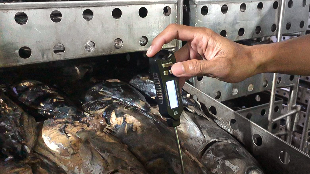 Initial Process