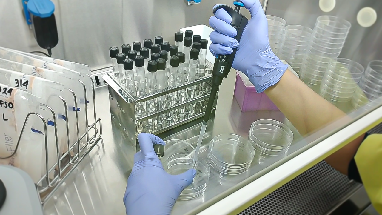 Quality Control Process
